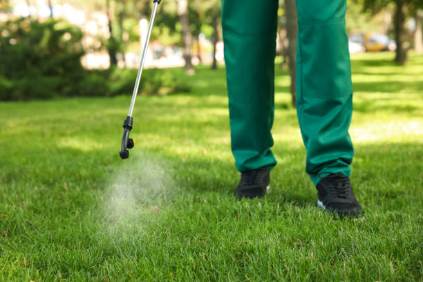 Best Pest Control Cost  in Hannibal, MO
