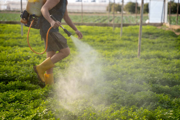 Best Mosquito Control Services  in Hannibal, MO