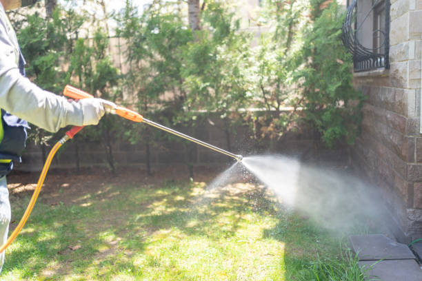 Best Residential Pest Control  in Hannibal, MO