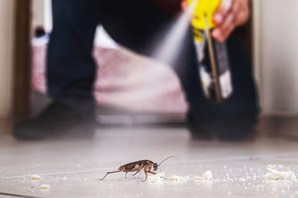 Best Pest Removal Services  in Hannibal, MO