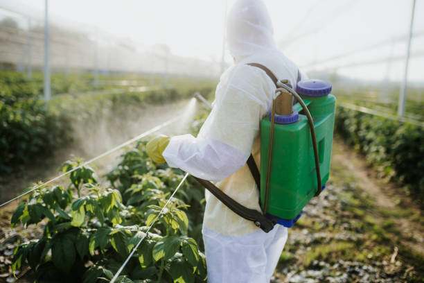 Best Best Pest Control Near Me  in Hannibal, MO